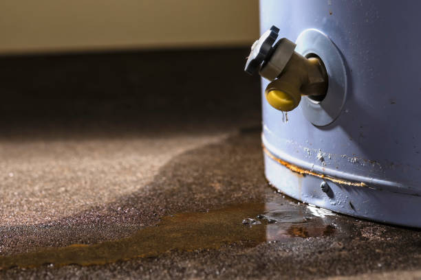 Best Water damage restoration near me  in Oneonta, NY