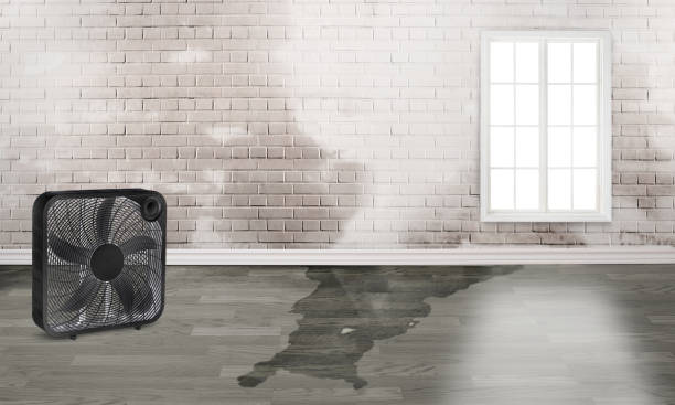 Best Commercial water damage restoration  in Oneonta, NY