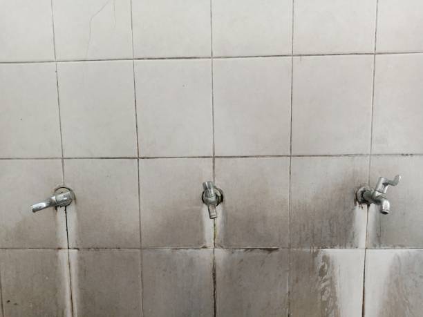 Best Mold removal after water damage  in Oneonta, NY