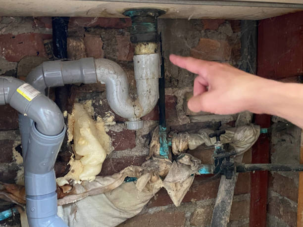Best Water damage restoration insurance claims  in Oneonta, NY