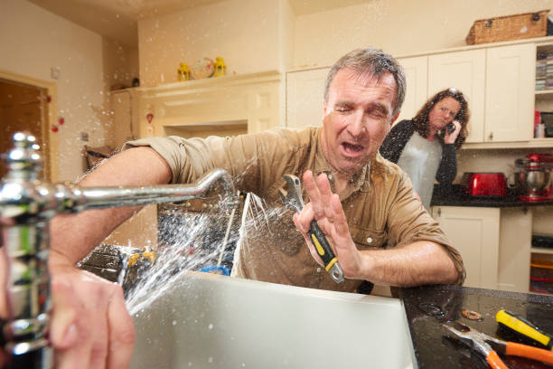 Best Flooded house restoration  in Oneonta, NY